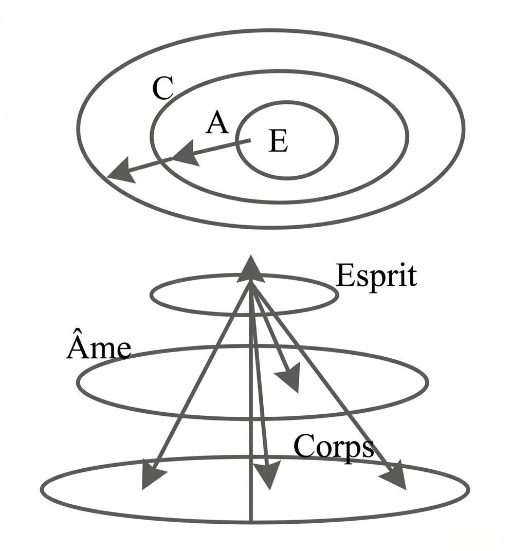 Fig. 6. Schéma - L'âme qui vivifie le corps comprend l'esprit ou intellect, partie la plus noble de l'âme humaine, capable de contempler et de recevoir Dieu.