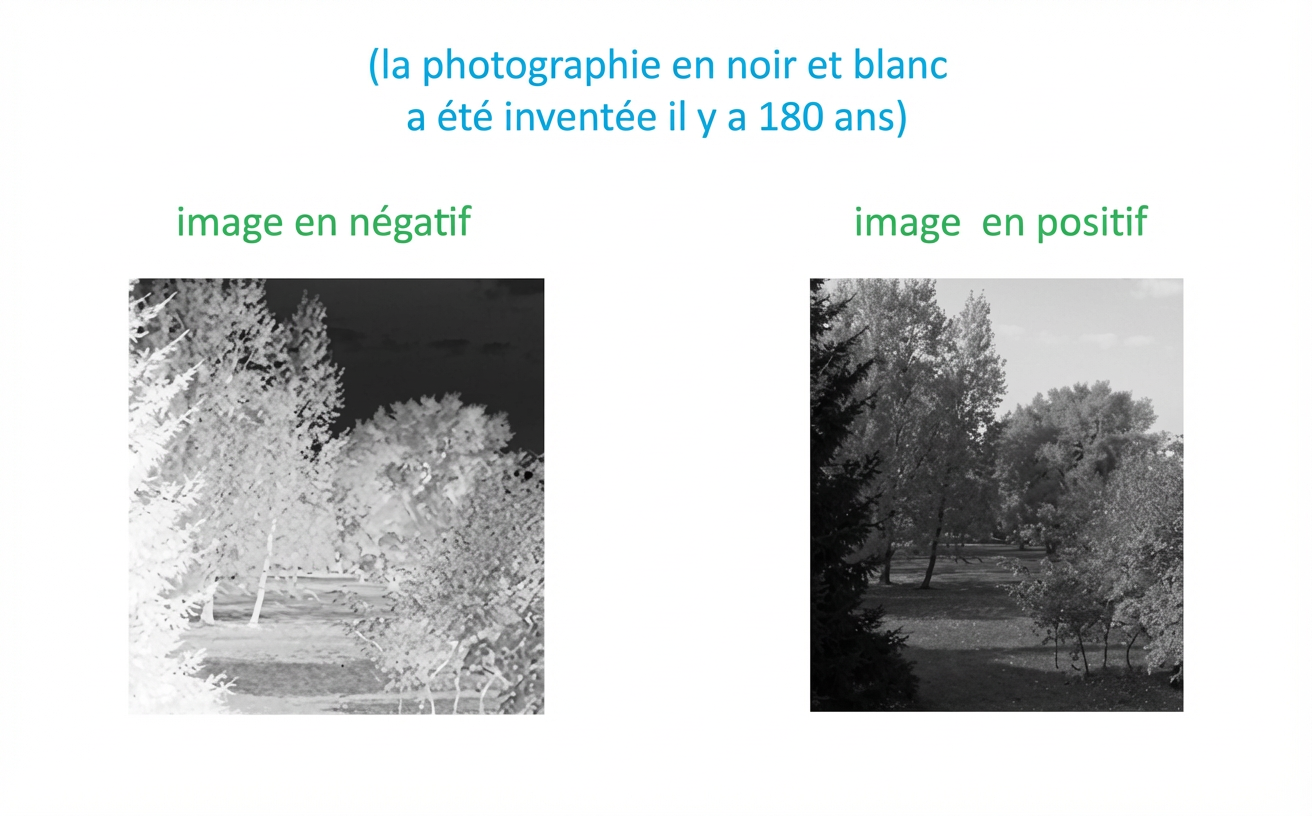 Photo : négatif et positif 