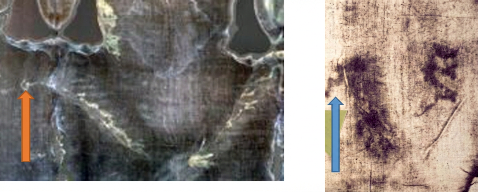 Détail du linceul de Turin