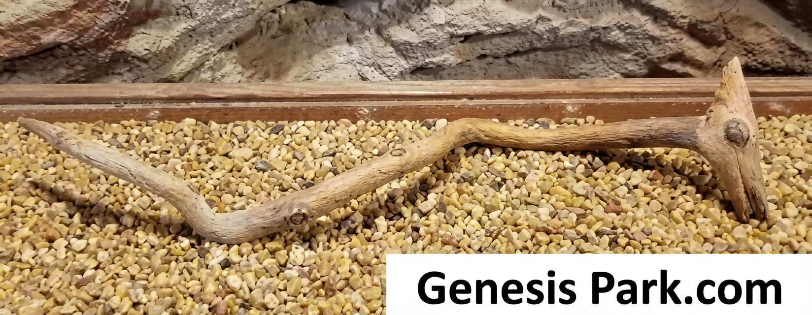 Bâton de prière d'indiens Anasazi