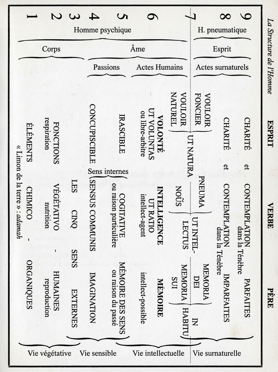 Schéma de la structure de l'homme