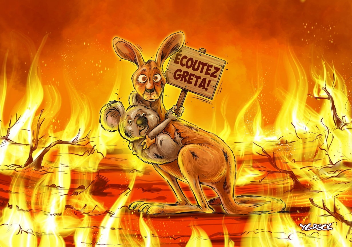 caricature koala kangourou feu Greta