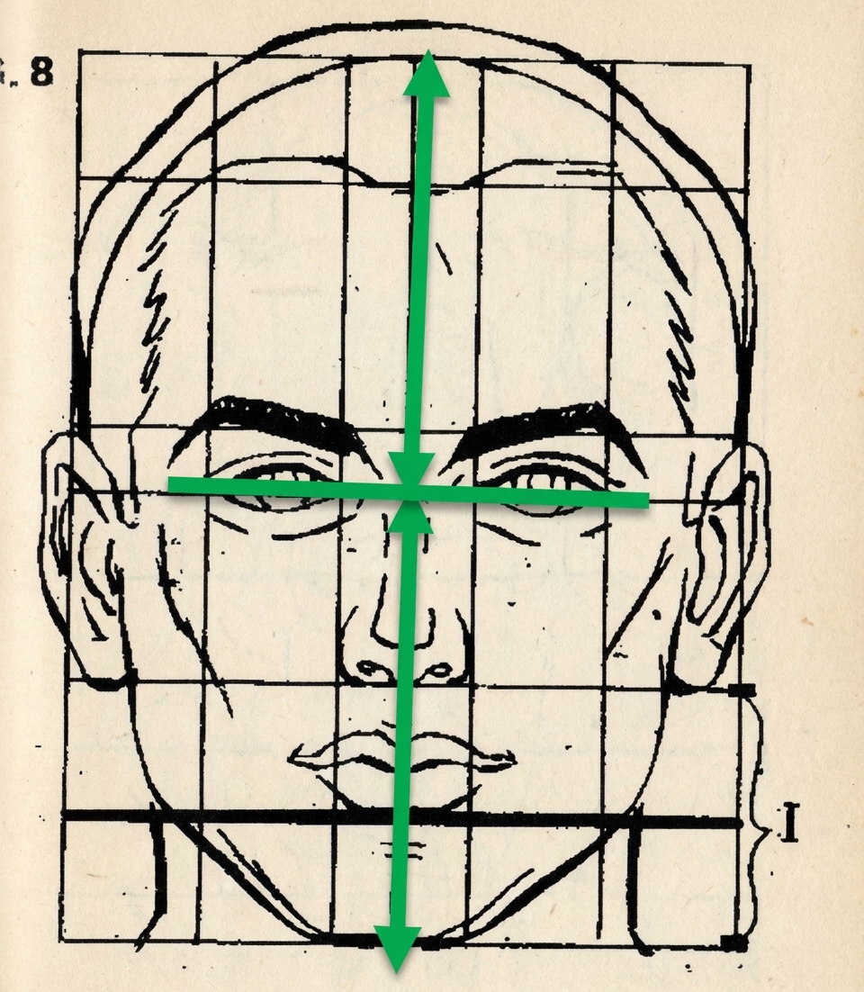 Schéma de la ligne interpupillaire
