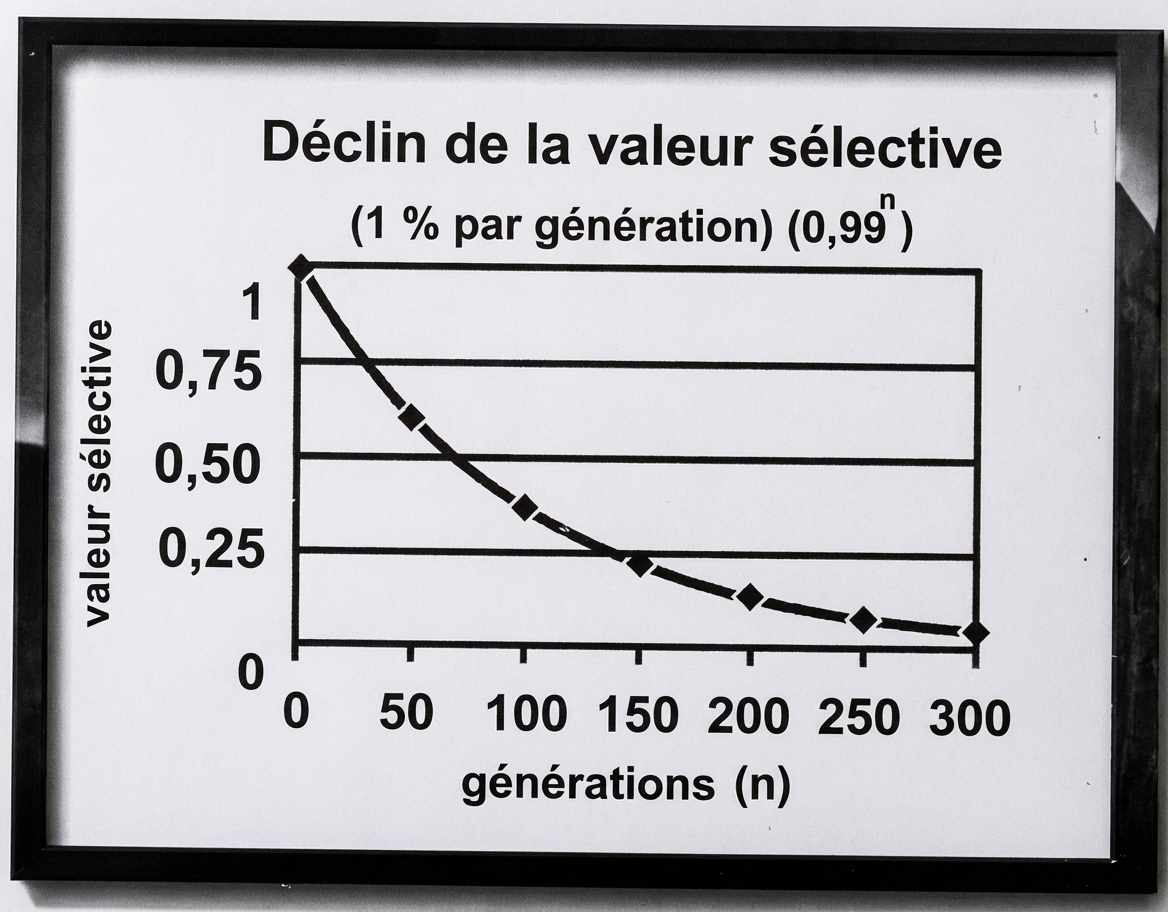 La décroissance de la valeur sélective, de génération en génération
