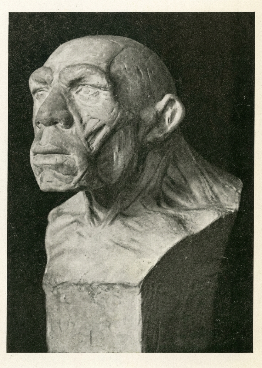 Reconstitution de la tête et du cou de l'Homo neanderthalensis de la Chapelle-aux-Saints