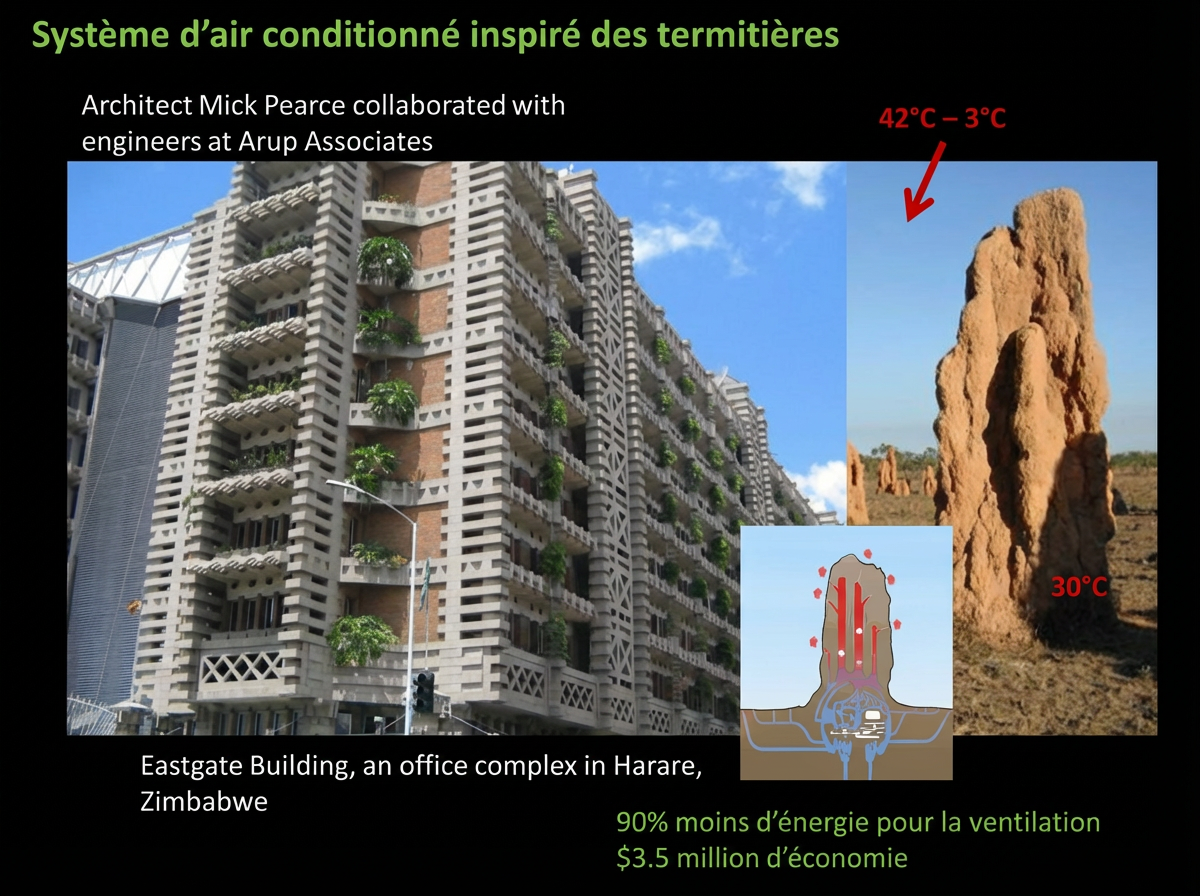 immeuble climatisé