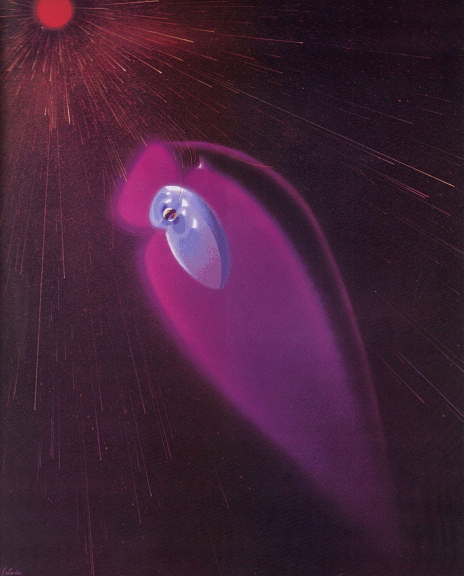 Bouclier magnétique terrestre