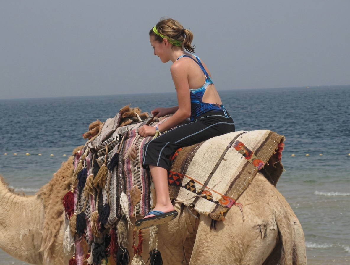 Dromadaire et son cavalier