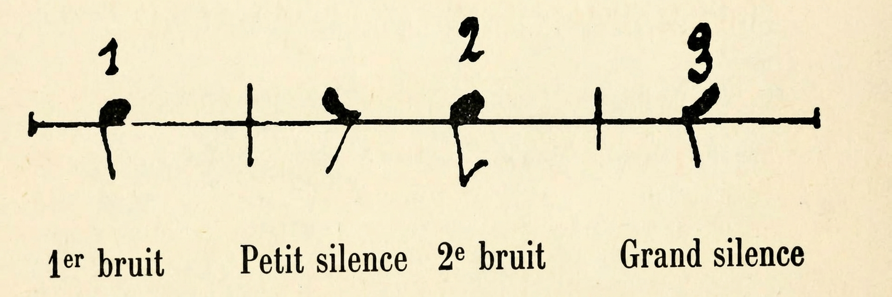 notation musicale du cœur humain