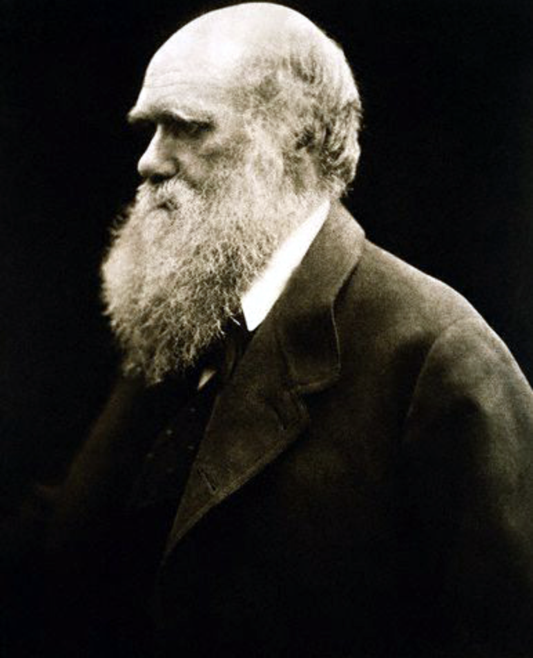 Portrait de Charles Darwin, 1868
