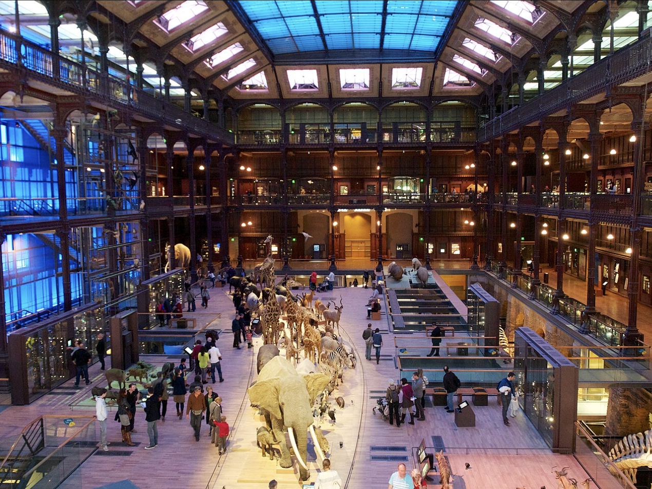 Grande Galerie de l'Évolution du Muséum national d'Histoire naturelle